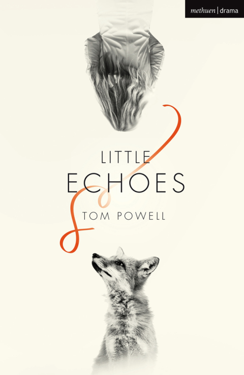 Cover image for book Little Echoes