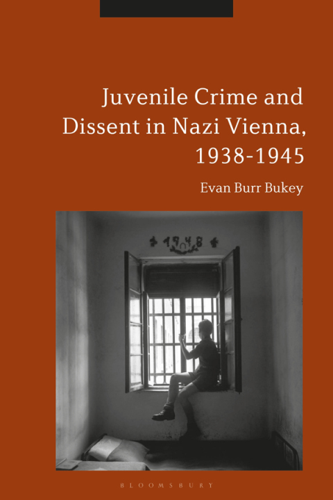 Cover image for book Juvenile Crime and Dissent in Nazi Vienna, 1938-1945