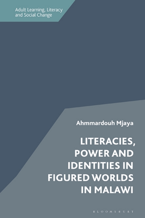 Cover image for book Literacies, Power and Identities in Figured Worlds in Malawi