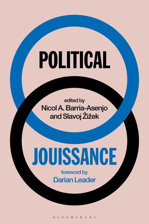 Cover image for book Political Jouissance
