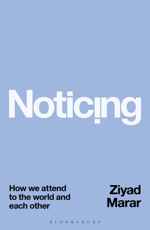 Cover image for book Noticing