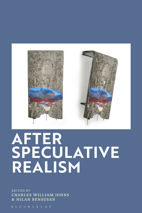 After Speculative Realism 