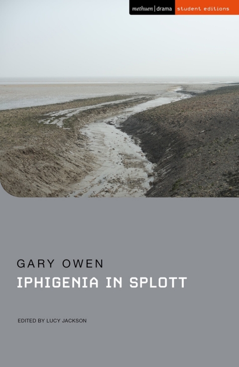 Cover image for book Iphigenia in Splott