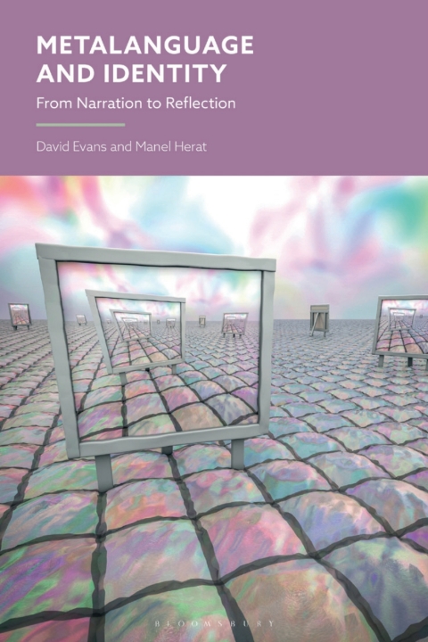Cover image for book Metalanguage and Identity
