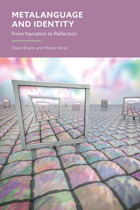 Cover image for book Metalanguage and Identity