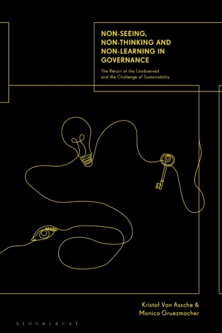 Non-seeing, Non-thinking and Non-learning in Governance