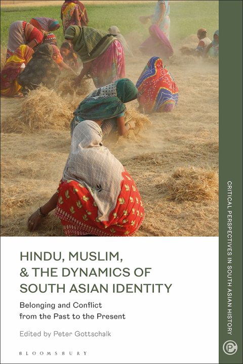 Cover image for book Hindu, Muslim, & the Dynamics of Identity in South Asia