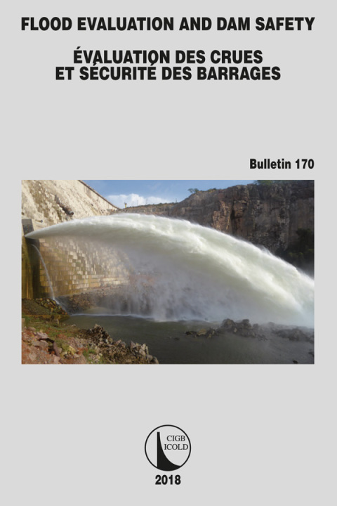 Cover image for book Flood Evaluation and Dam Safety
