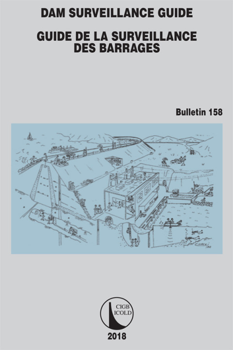 Cover image for book Dam Surveillance Guide