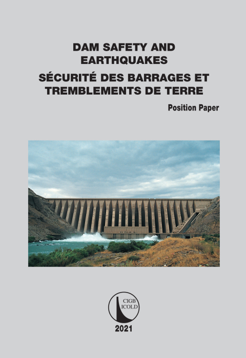 Cover image for book Position Paper Dam Safety and Earthquakes