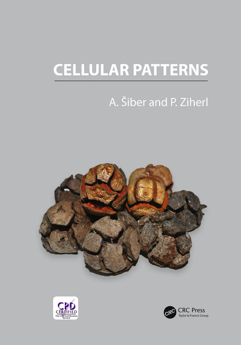 Cover image for book Cellular Patterns