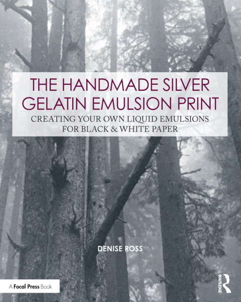 Cover image for book The Handmade Silver Gelatin Emulsion Print