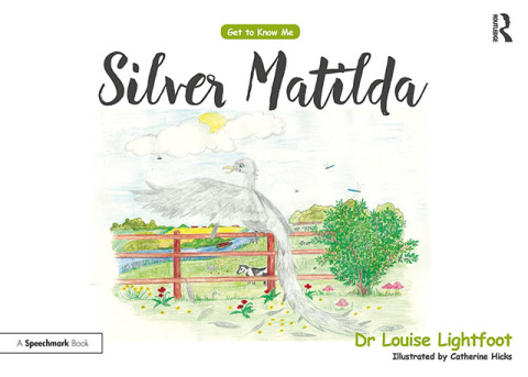 Cover image for book Silver Matilda