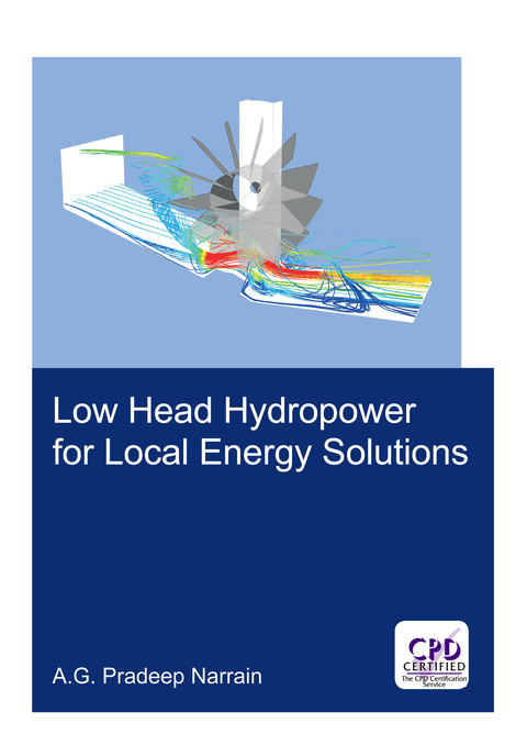 Cover image for book Low Head Hydropower for Local Energy Solutions