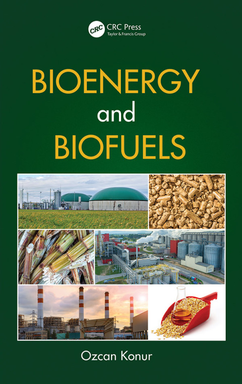 Cover image for book Bioenergy and Biofuels