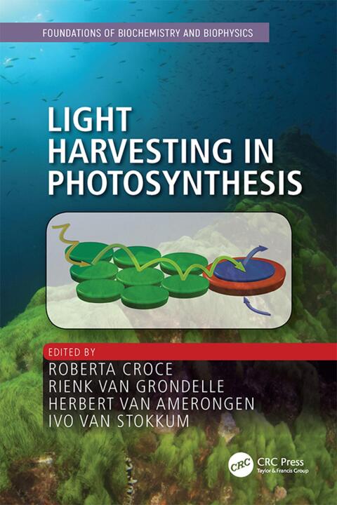 Cover image for book Light Harvesting in Photosynthesis