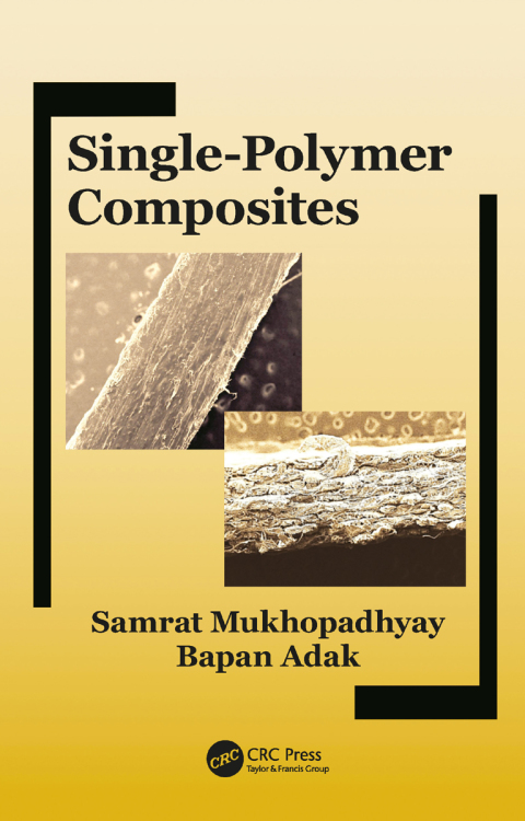 Cover image for book Single-Polymer Composites