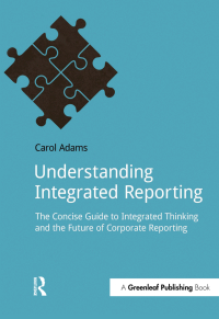 Cover image: Understanding Integrated Reporting 1st edition 9781909293847