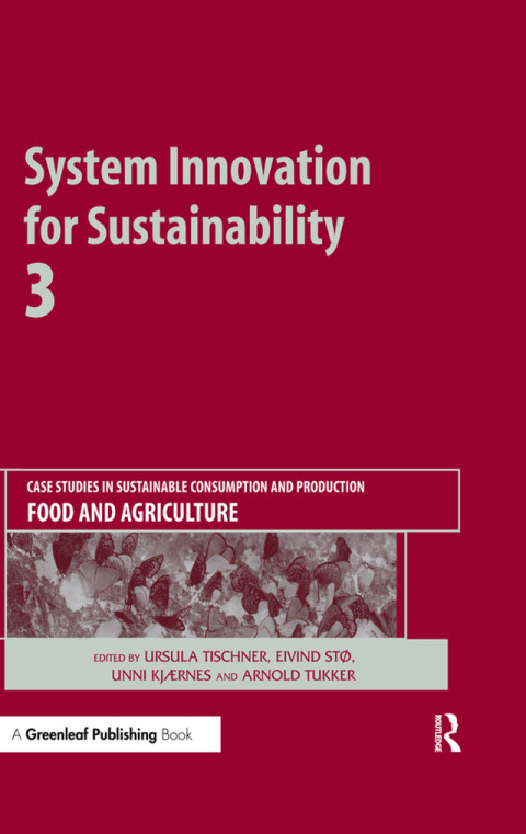 Cover image for book System Innovation for Sustainability 3