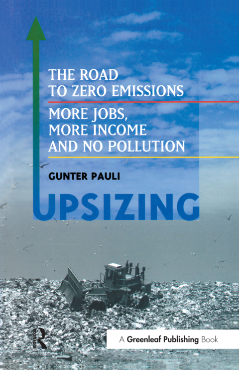 Cover image for book UpSizing