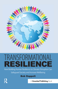 Cover image: Transformational Resilience 1st edition 9781783535286
