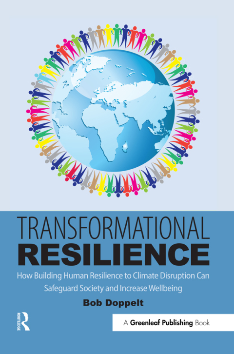 Cover image for book Transformational Resilience