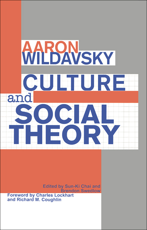 Culture and Social Theory 