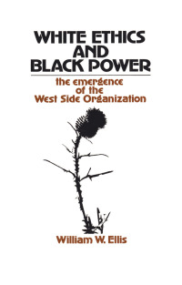 Cover image: White Ethics and Black Power 1st edition 9781138540514