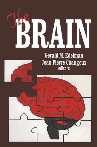 The Brain