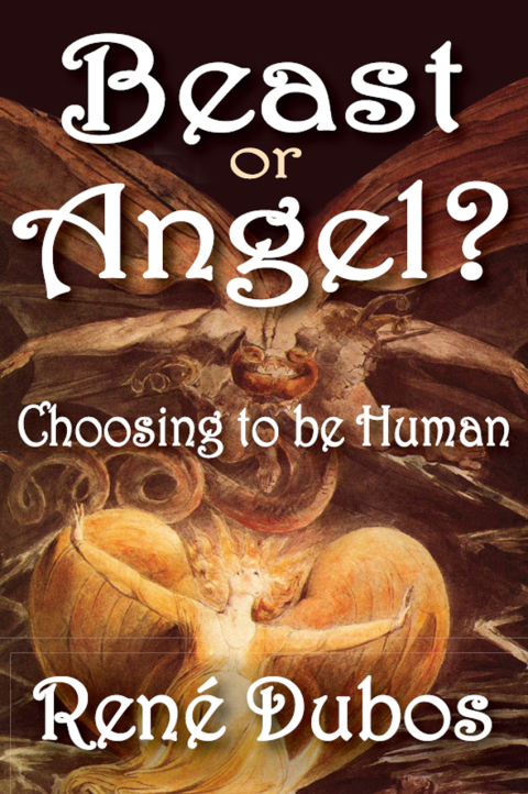 Cover image for book Beast or Angel?