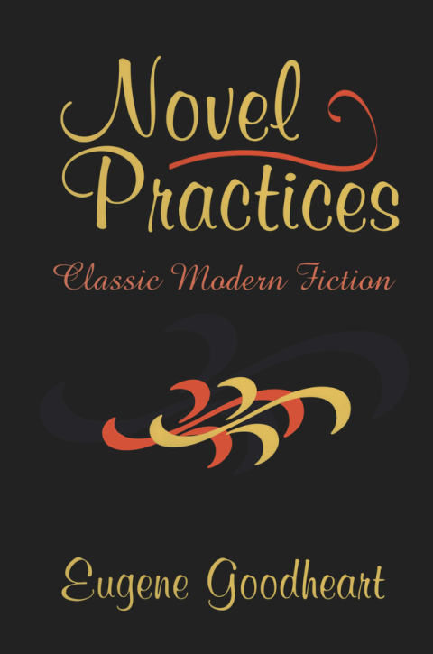 Cover image for book Novel Practices
