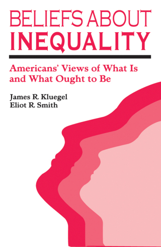 Beliefs about Inequality