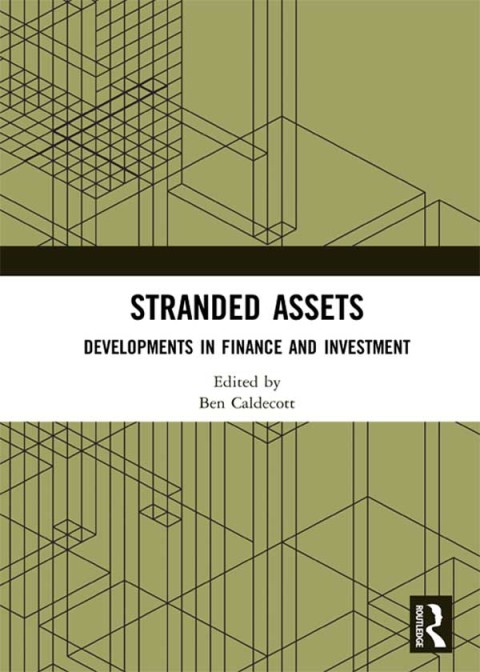 Cover image for book Stranded Assets