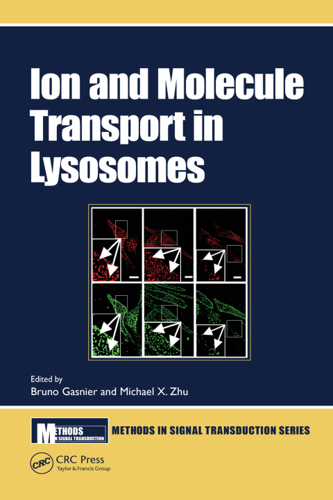 Cover image for book Ion and Molecule Transport in Lysosomes