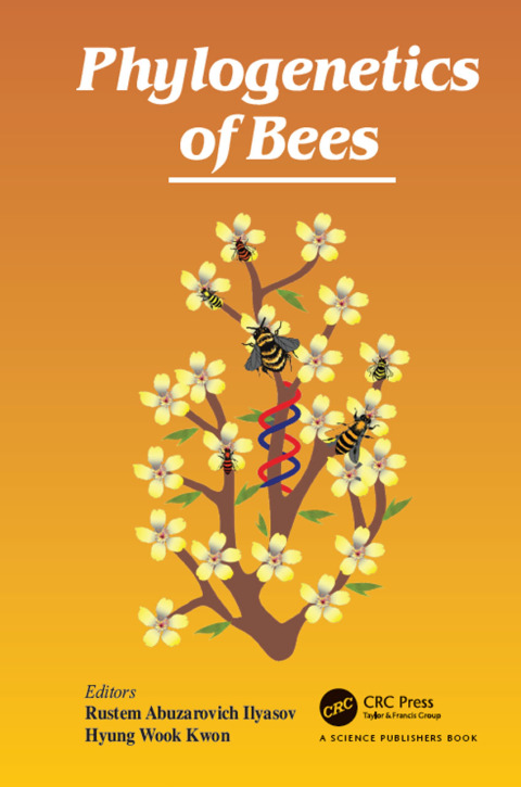 Cover image for book Phylogenetics of Bees