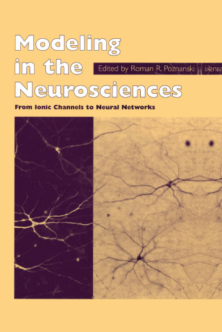 Modeling in the Neurosciences