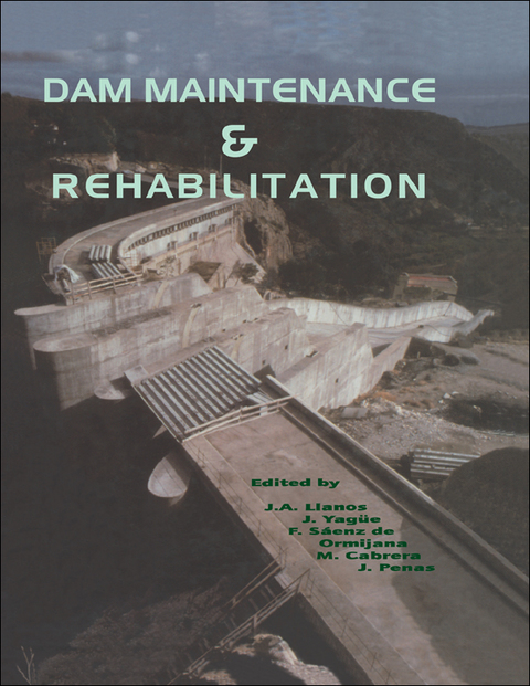 Cover image for book Dam Maintenance and Rehabilitation