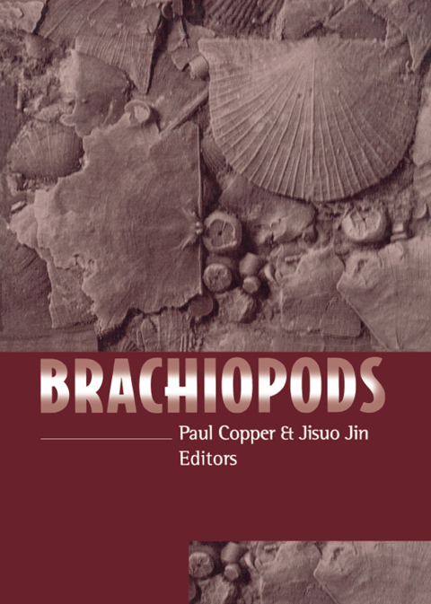 Cover image for book Brachiopods