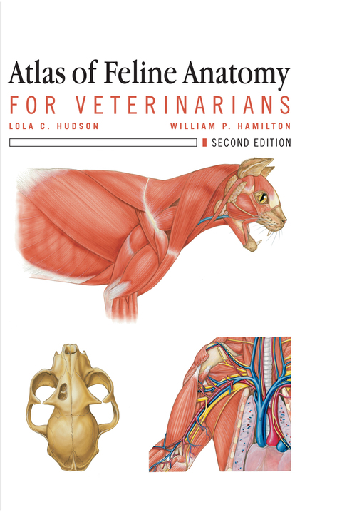 Atlas of Feline Anatomy For Veterinarians 