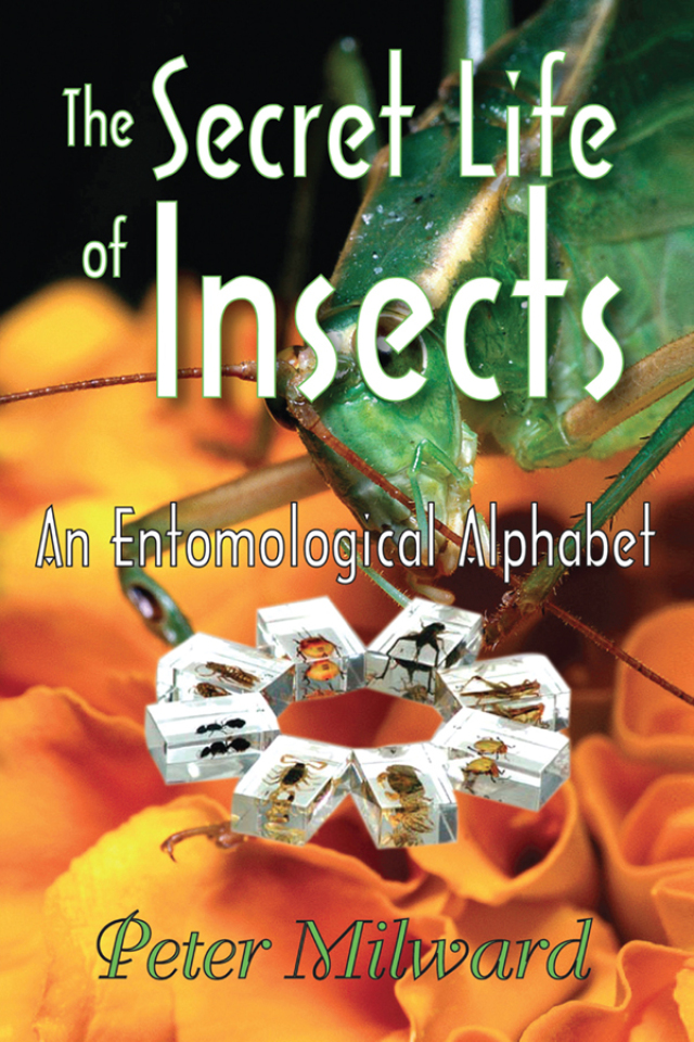 The Secret Life of Insects