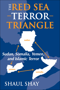 Cover image: The Red Sea Terror Triangle 1st edition 9781412806206