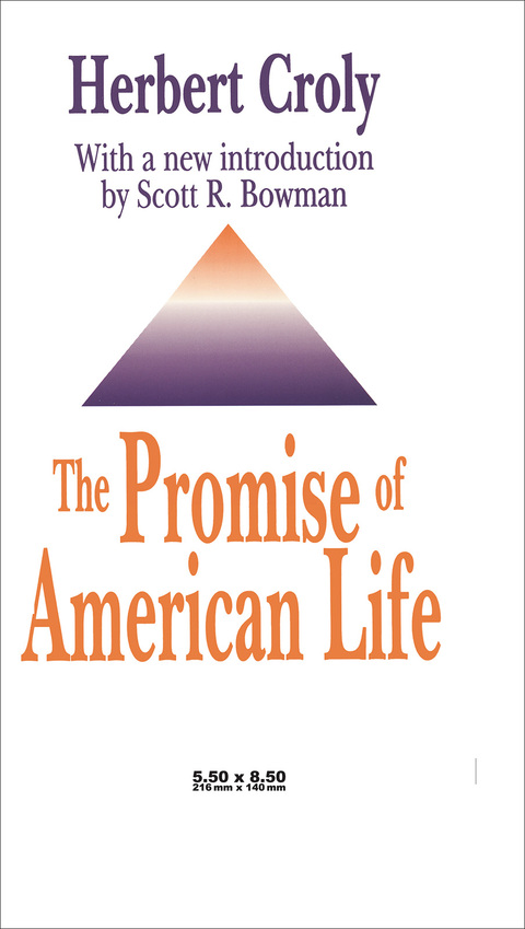 Cover image for book The Promise of American Life