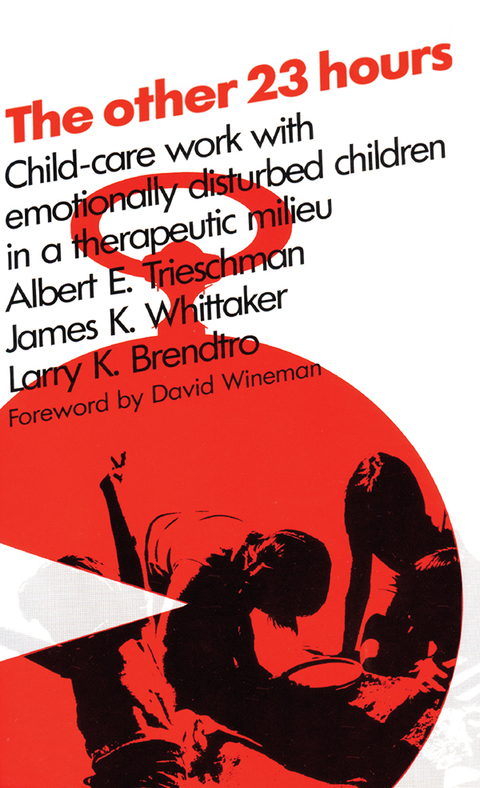 Cover image for book The Other 23 Hours