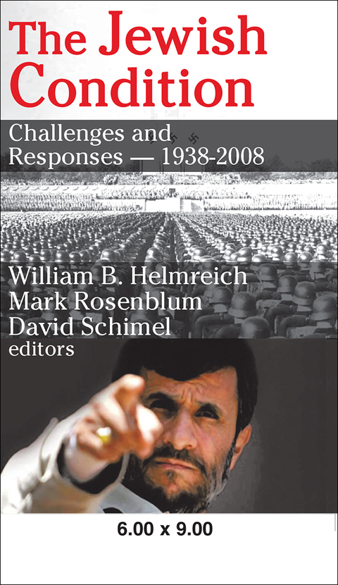 Cover image for book The Jewish Condition