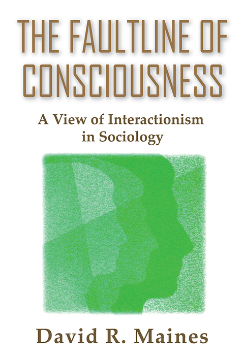Cover image for book The Faultline of Consciousness