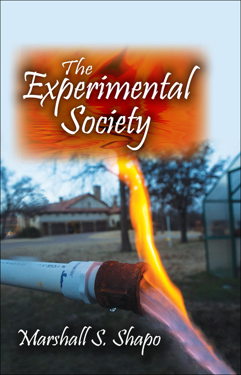 Cover image for book The Experimental Society