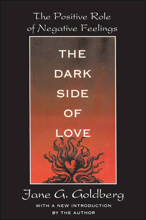Cover image for book The Dark Side of Love