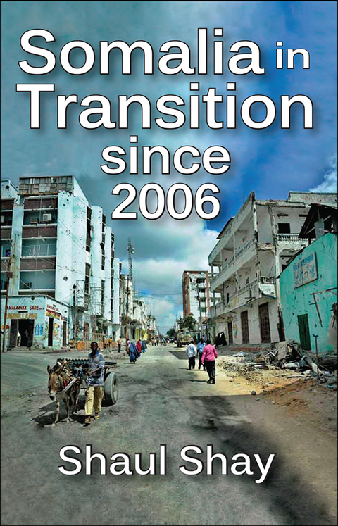 Cover image for book Somalia in Transition Since 2006