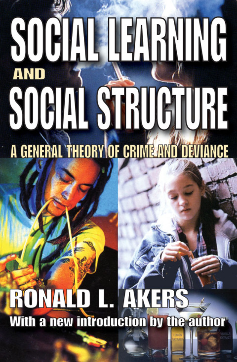Cover image for book Social Learning and Social Structure