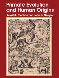 صورة الغلاف: Primate Evolution and Human Origins 1st edition 9781138530737